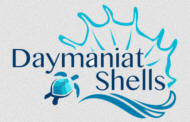 daymaniat-Shells